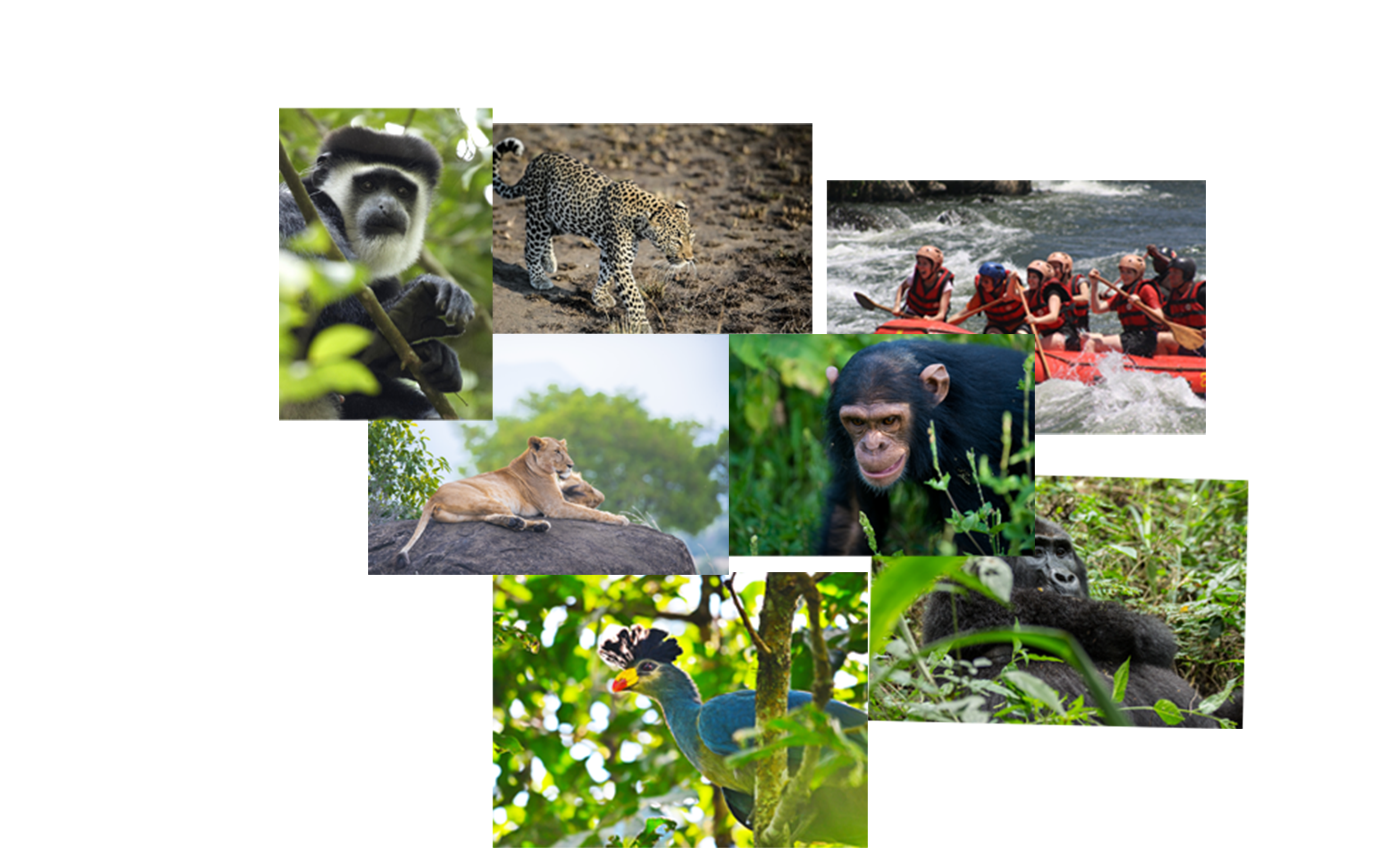 Uganda Landscape - The Pearl of Africa