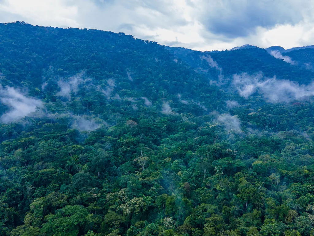 The Conscious Safari: How Haven Africa Journeys Keeps East Africa Wild & Thriving