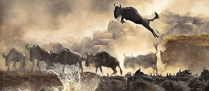 10 Things you simply must experience in East Africa