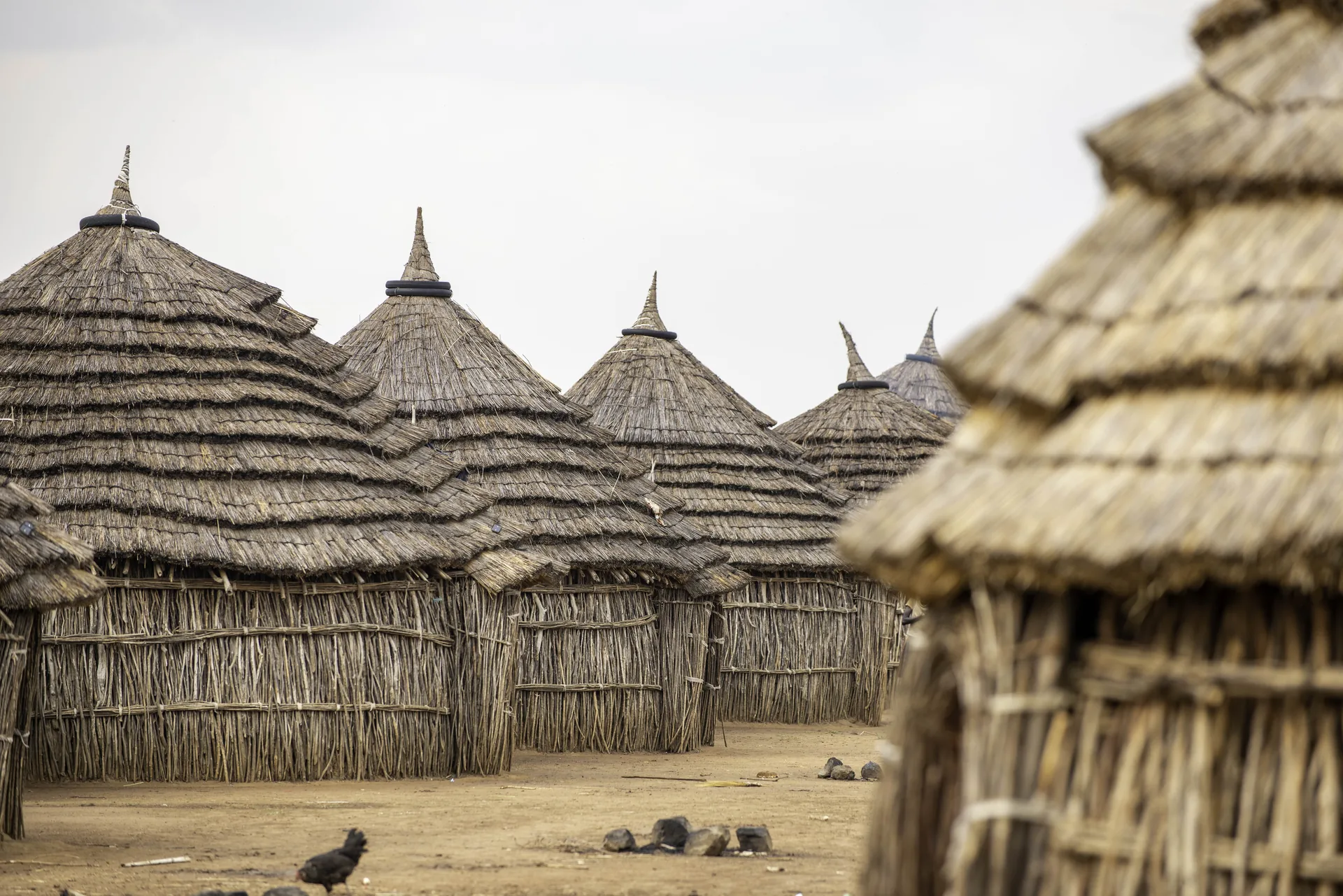 Sustaining the Cradle: Why African Communities Don’t Need Lessons in Conservation, Just the Power of Modern Touch