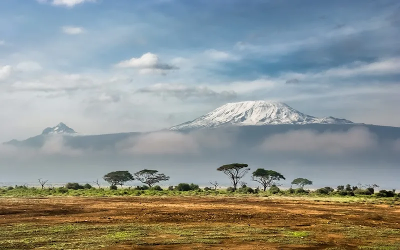 When is the Best Time to Visit Uganda?