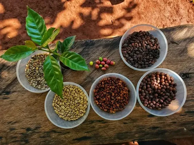 Sacred Steam: Why you haven’t truly experienced coffee until you’ve visited East Africa