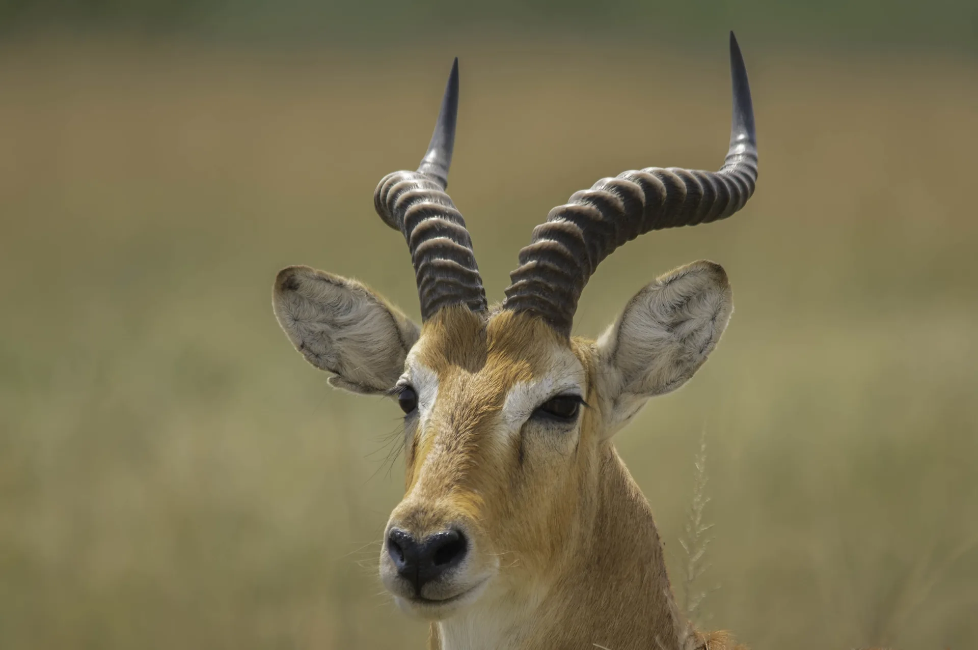 Lake Mburo National Park