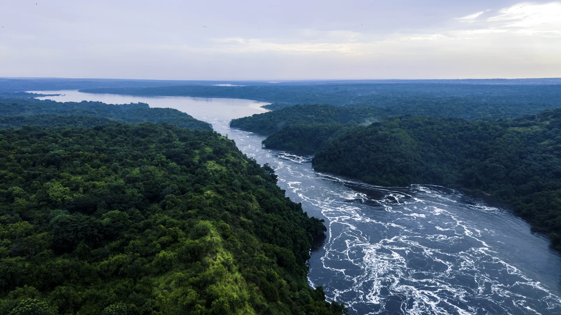 The Nile's Endless Horizon