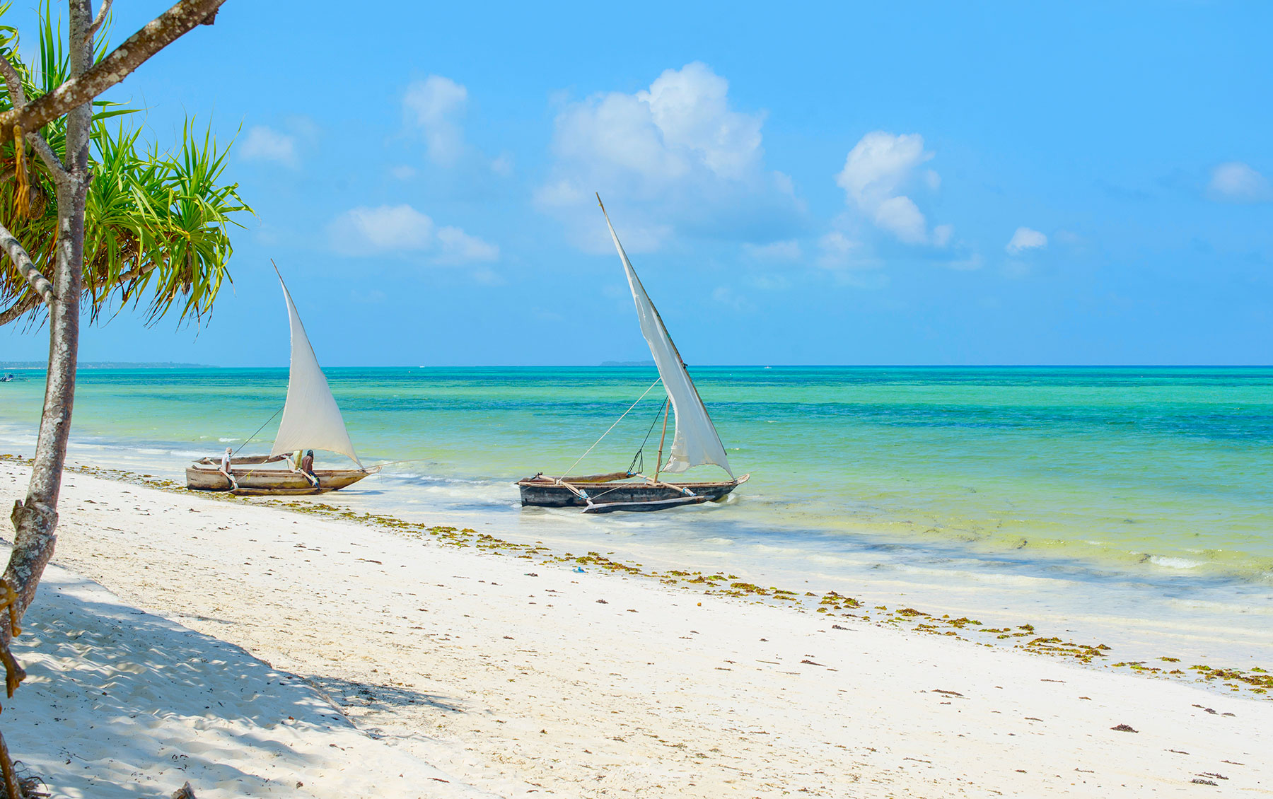 “Zanzibar honeymoon package”, “luxury Zanzibar itinerary”, “romantic beach getaway Africa”