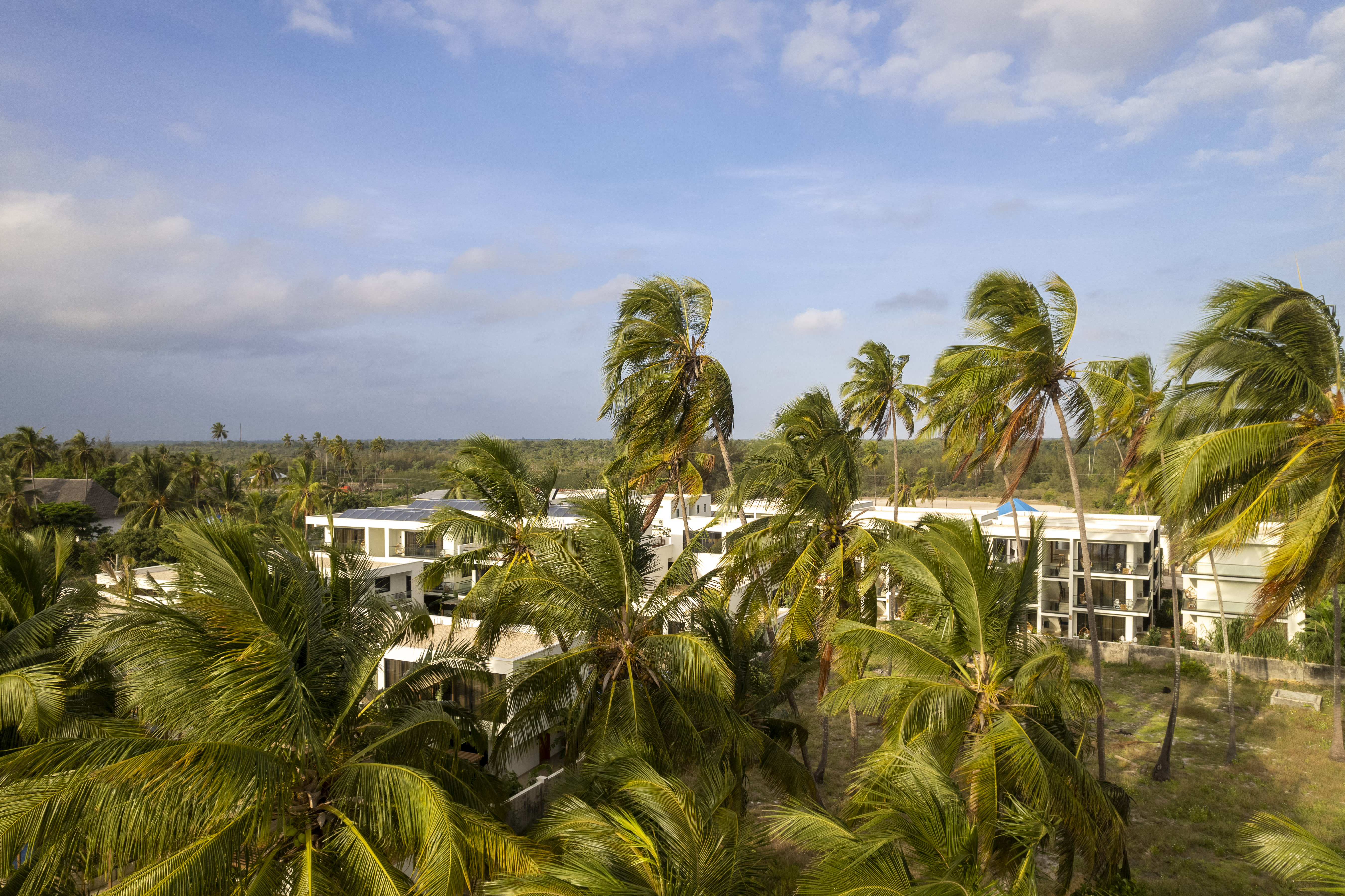 “Zanzibar honeymoon package”, “luxury Zanzibar itinerary”, “romantic beach getaway Africa”