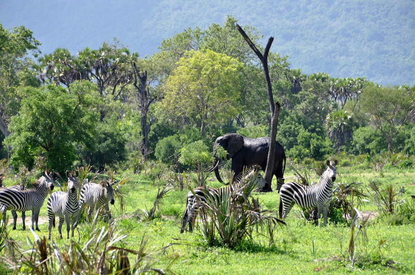 East Africa travel