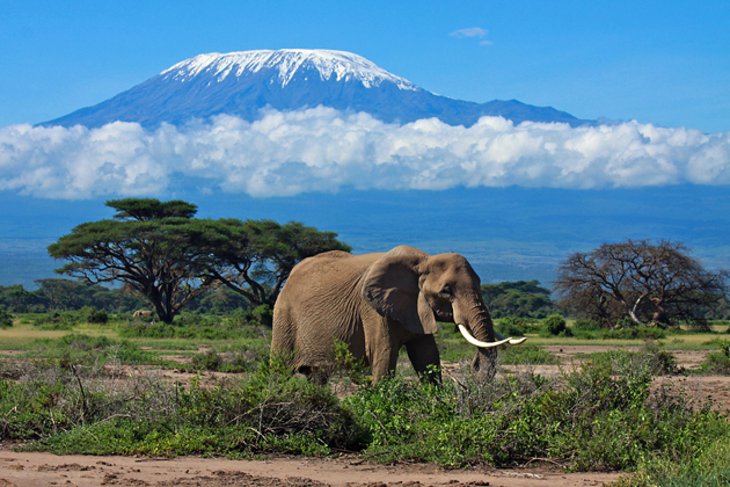 luxury safari Tanzania