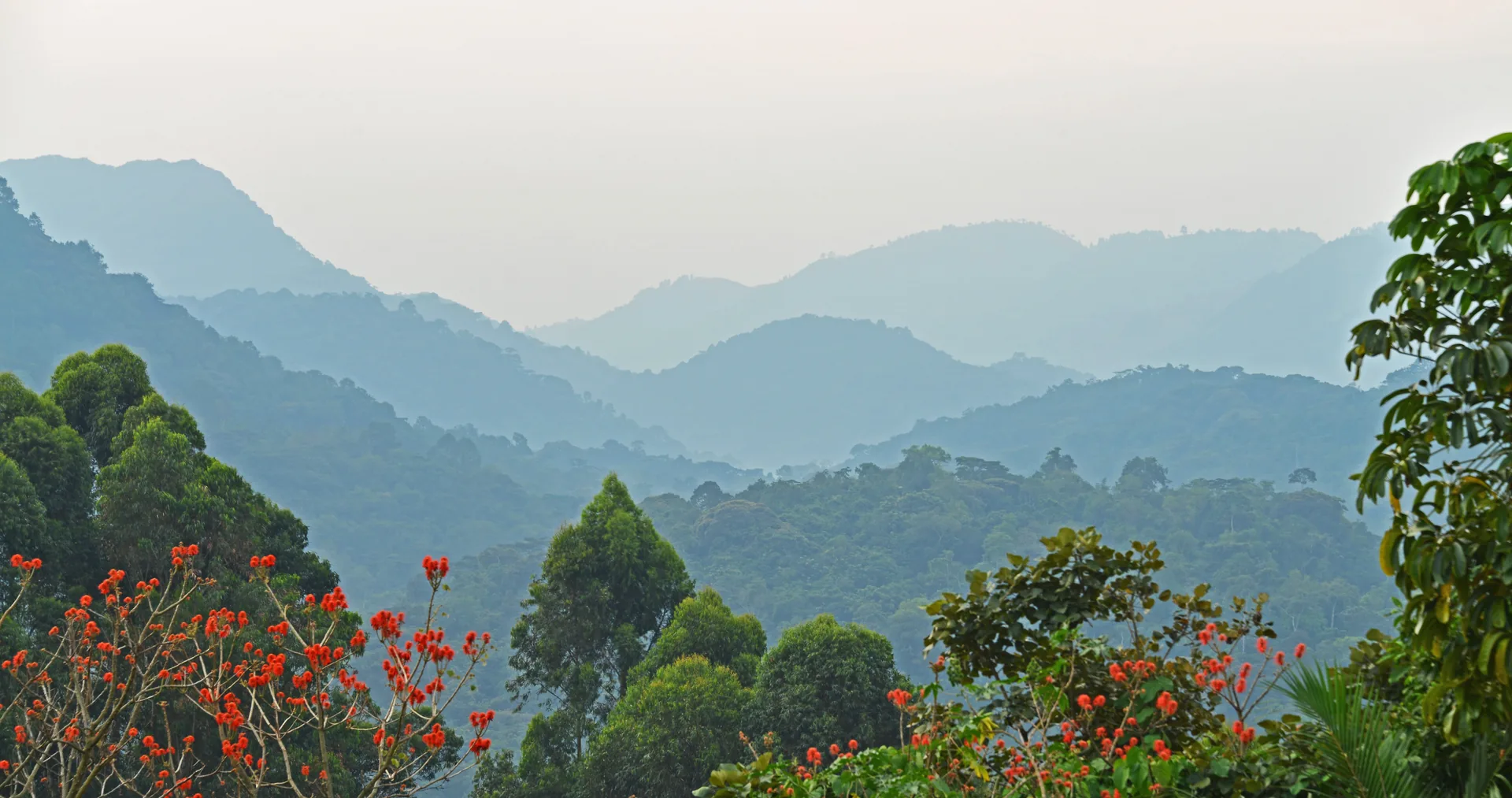7-Day Gorilla Trekking, Community Coffee & Village Safari